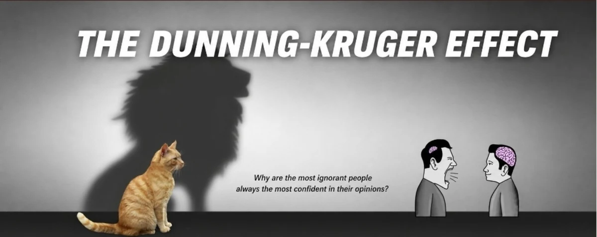 The Dunning-Kruger Effect cover showing a small cat casting a lion-shaped shadow.